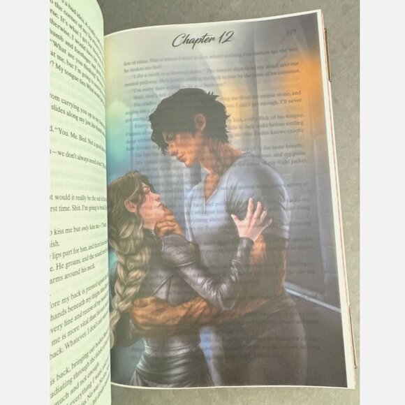 Bookish Box Edition + Overlays Iron Flame Rebecca Yarros Rare Sprayed Empyrean - Picture 9 of 11